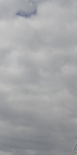 2013 Svojek Mirek Topinka